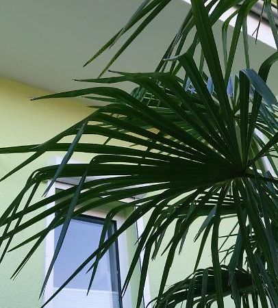 Apartament Happy 1 Quierschied Zewnętrze zdjęcie